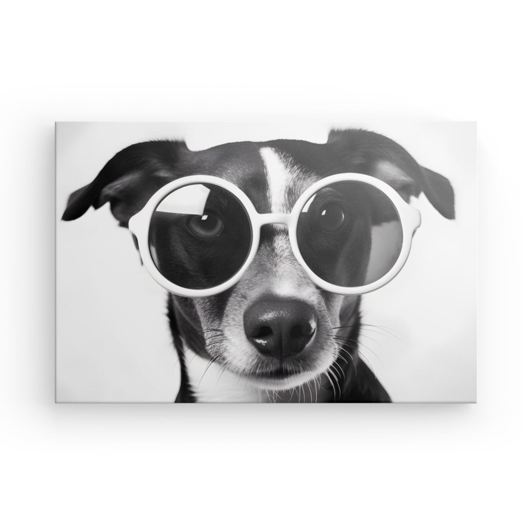 Tableau Chien Lunettes Noir et Blanc Dr le et Mignon Portrait