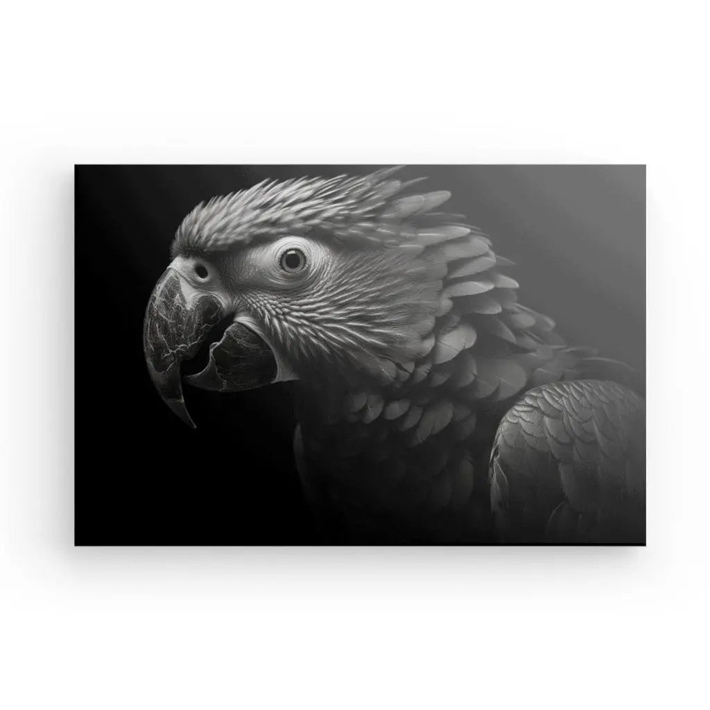 Tableau Perroquet Noir et Blanc Ara Portrait Oiseau Parot