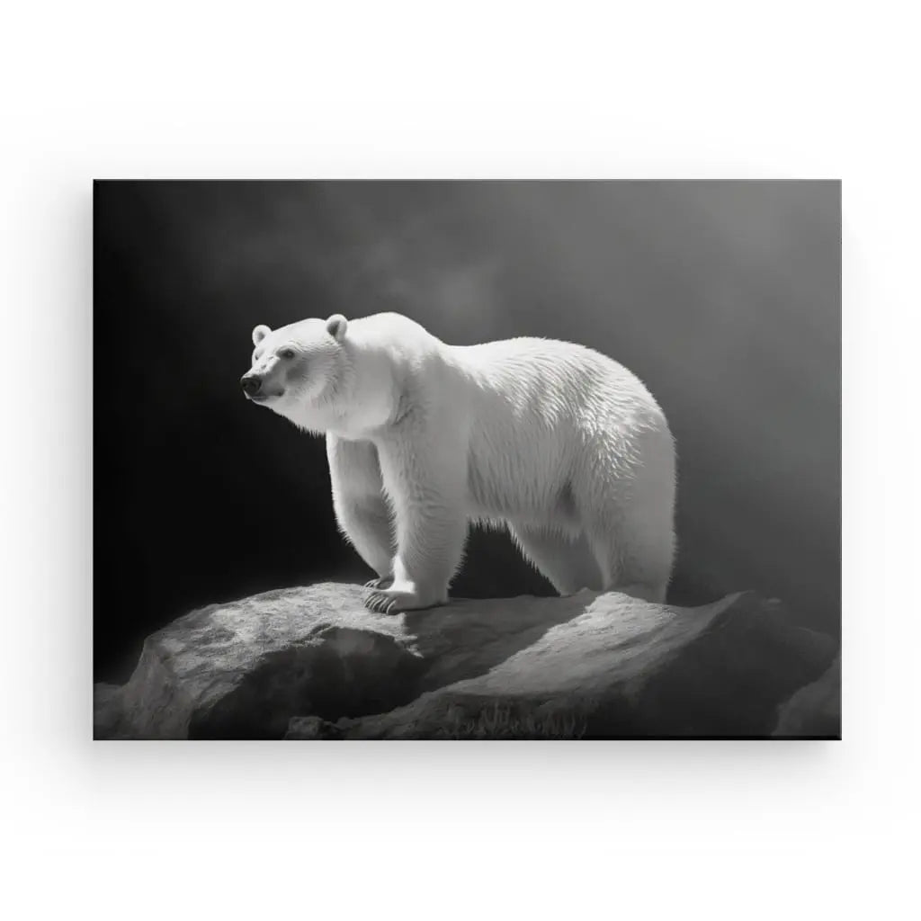 Tableau Ours Polaire Banquise Photo Noir et Blanc - #tag1# - #tag2#
