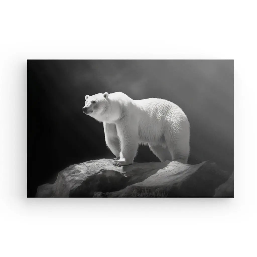 Tableau Ours Polaire Banquise Photo Noir et Blanc - #tag1# - #tag2#