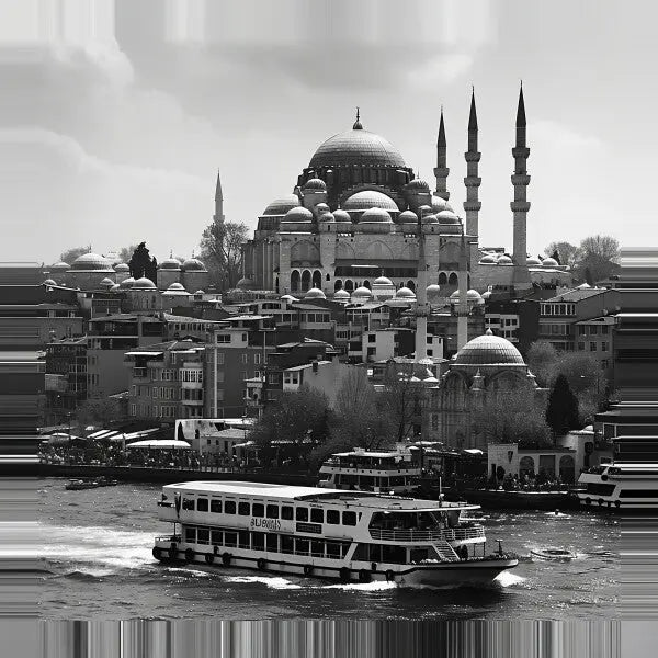 Tableau Istambul Paysage Mosquée Turquie Noir et Blanc - #tag1# - #tag2#