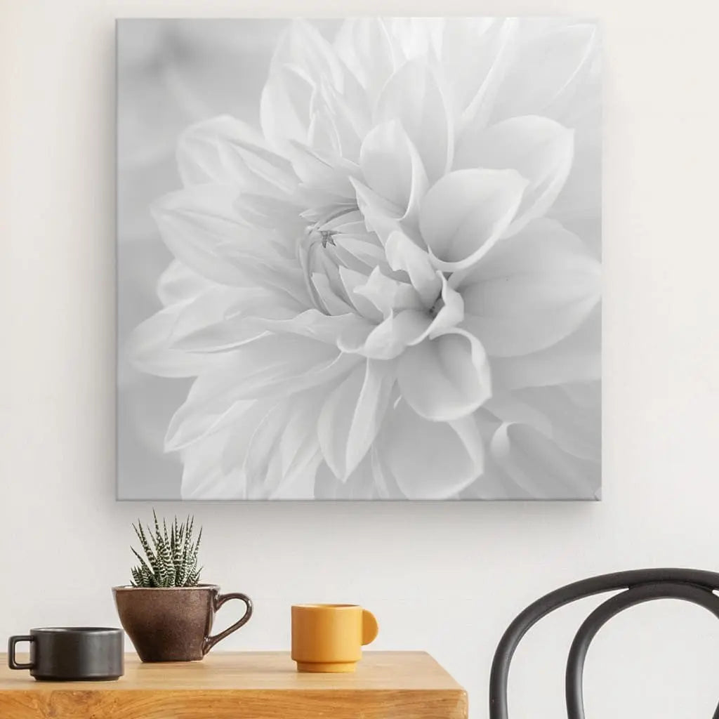 Tableau Fleur Blanche Pétales Noir et Blanc - #tag1# - #tag2#