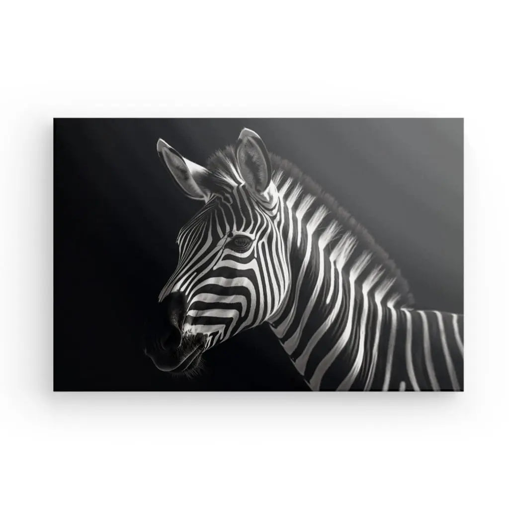 Tableau Minimaliste Zèbre Fond Noir et Blanc - #tag1# - #tag2#