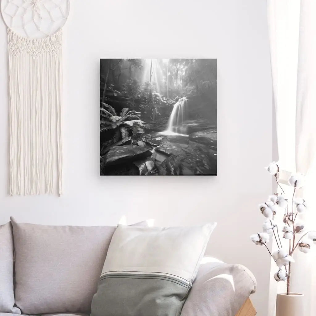 Tableau Noir et Blanc Jungle Cascade - #tag1# - #tag2#