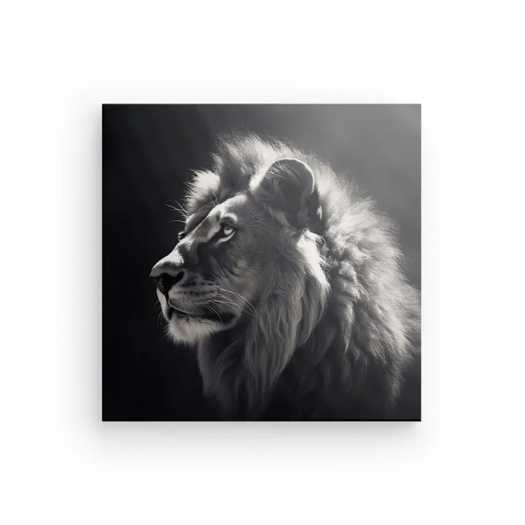 Tableau Lion Portrait Photo Noir et Blanc Univers Noir et Blanc