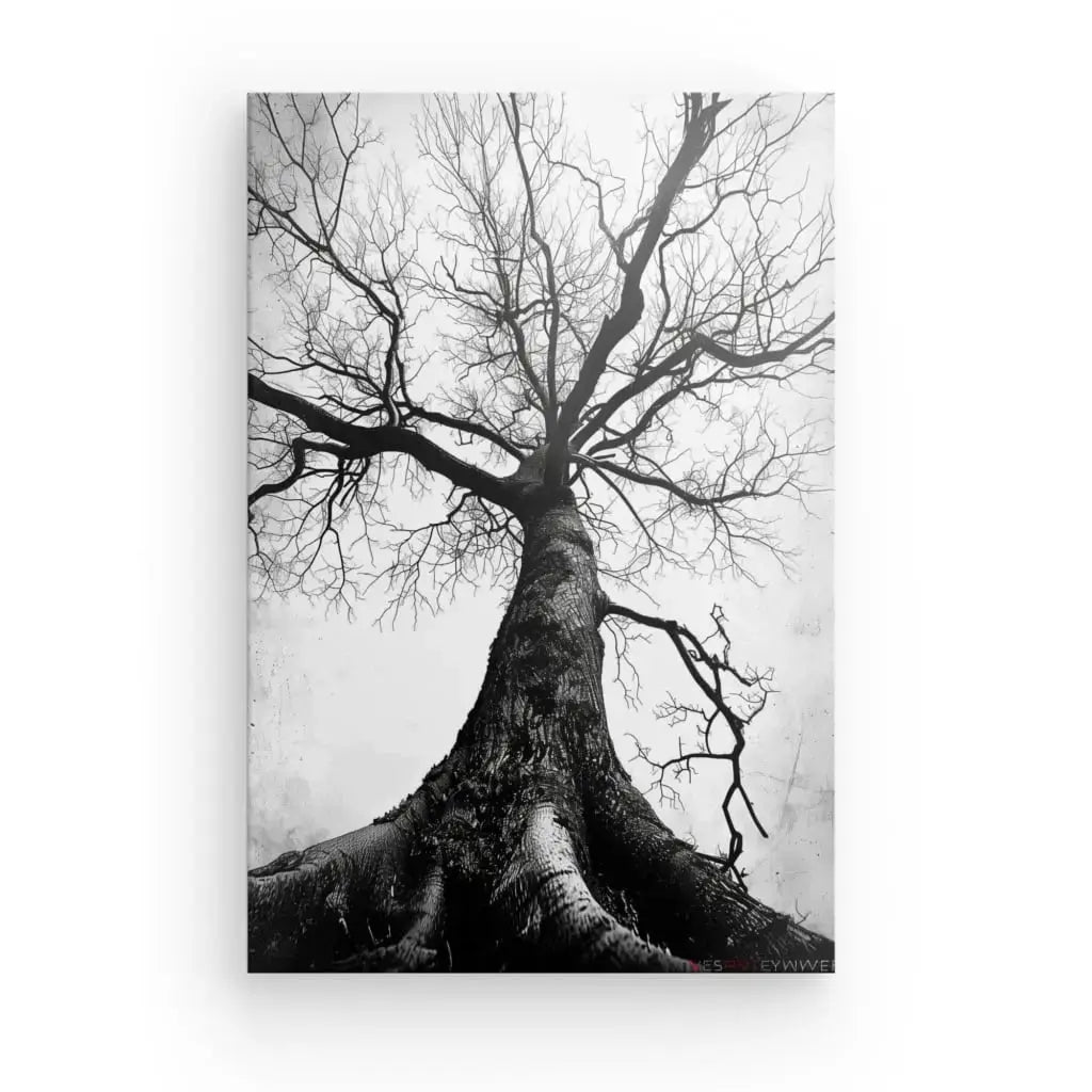 Tableau Arbre Centenaire Noir et Blanc - Univers Noir et Blanc - #tag1# - #tag2# - #tag3#