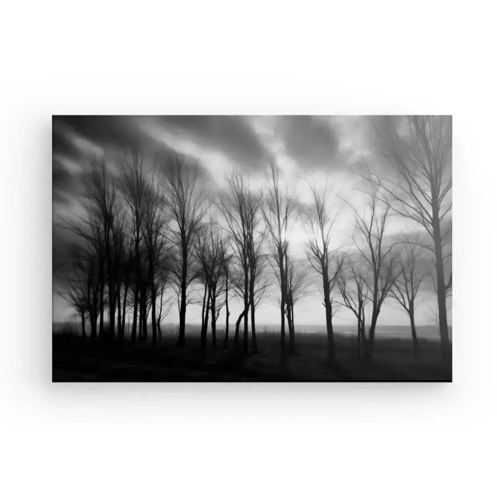 Tableau Arbres Nature Campagne Noir et Blanc - Univers Noir et Blanc - #tag1# - #tag2# - #tag3#