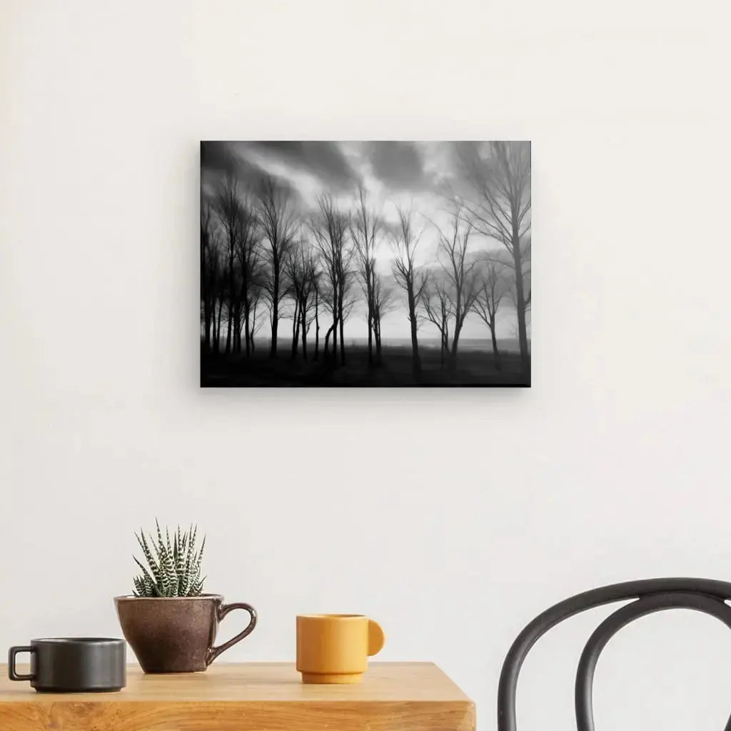 Tableau Arbres Nature Campagne Noir et Blanc - Univers Noir et Blanc - #tag1# - #tag2# - #tag3#