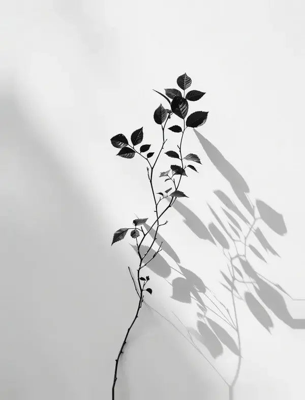Tableau Branche Minimaliste Noir et Blanc - Univers Noir et Blanc - #tag1# - #tag2# - #tag3#