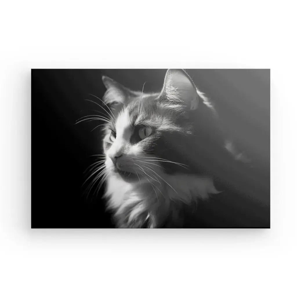 Tableau Chat Portrait Animal de Compagnie Noir et Blanc - Univers Noir et Blanc - #tag1# - #tag2# - #tag3#
