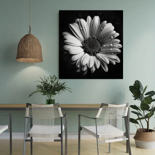 Gros plan artistique d’une marguerite en noir et blanc, révélant la finesse des pétales et la beauté naturelle dans un style épuré et élégant.