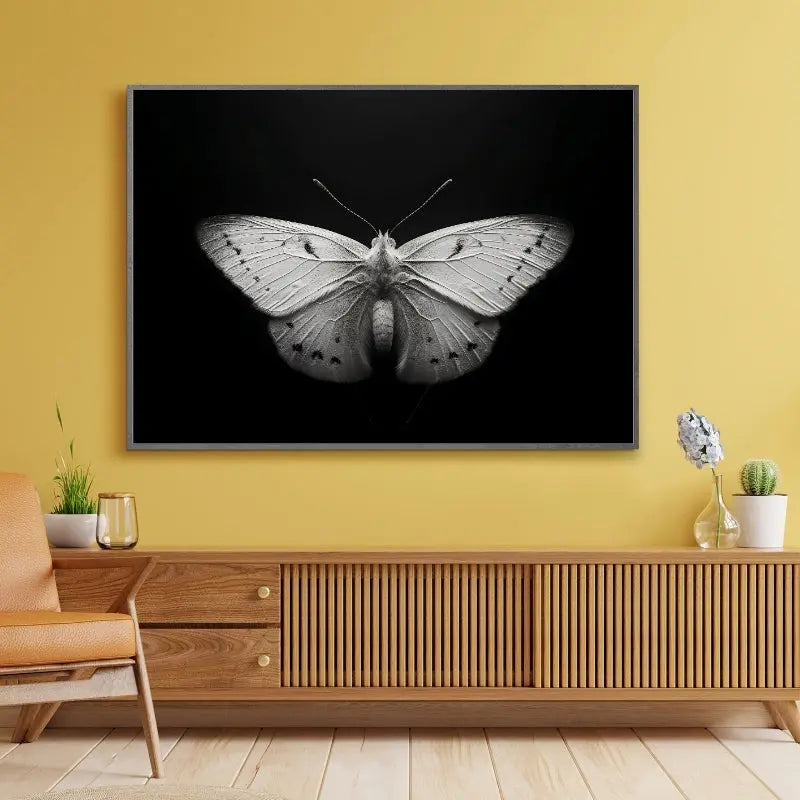 Tableau noir et blanc en gros plan d’un papillon, insecte délicat au style naturel et graphique