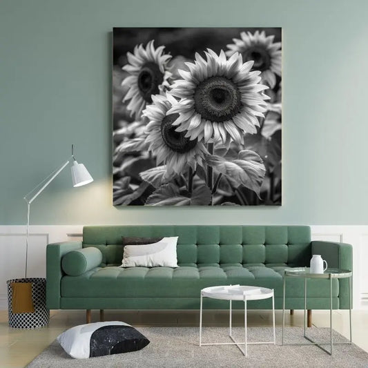 Tableau en noir et blanc de tournesols dans la nature, œuvre florale élégante et intemporelle pour décoration murale