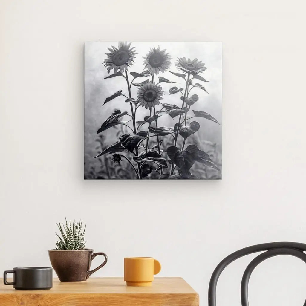 Tableau en noir et blanc de tournesols, œuvre florale élégante et intemporelle pour décoration murale