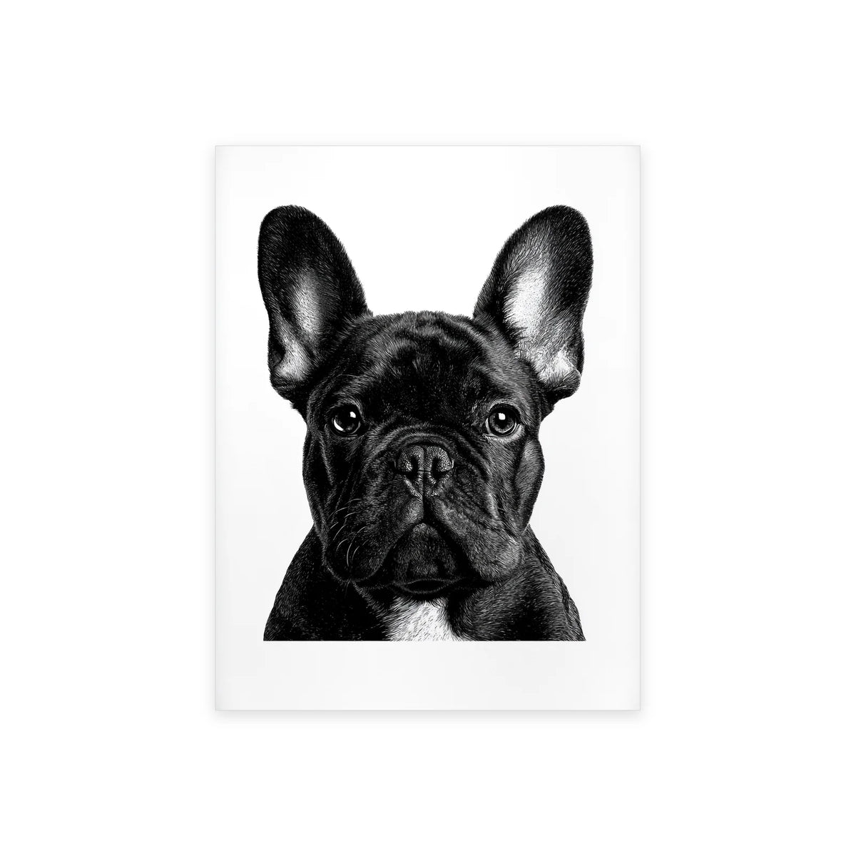 Poster bouledogue aux grandes oreilles noir et blanc présenté seul sur fond blanc, aperçu de l’œuvre imprimée