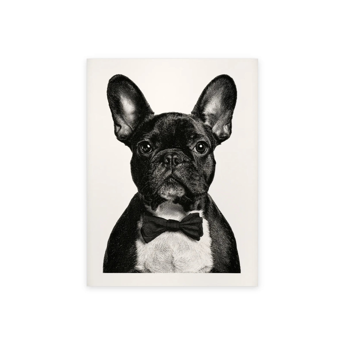 Poster bouledogue au nœud papillon noir et blanc présenté seul sur fond blanc, aperçu de l’œuvre imprimée