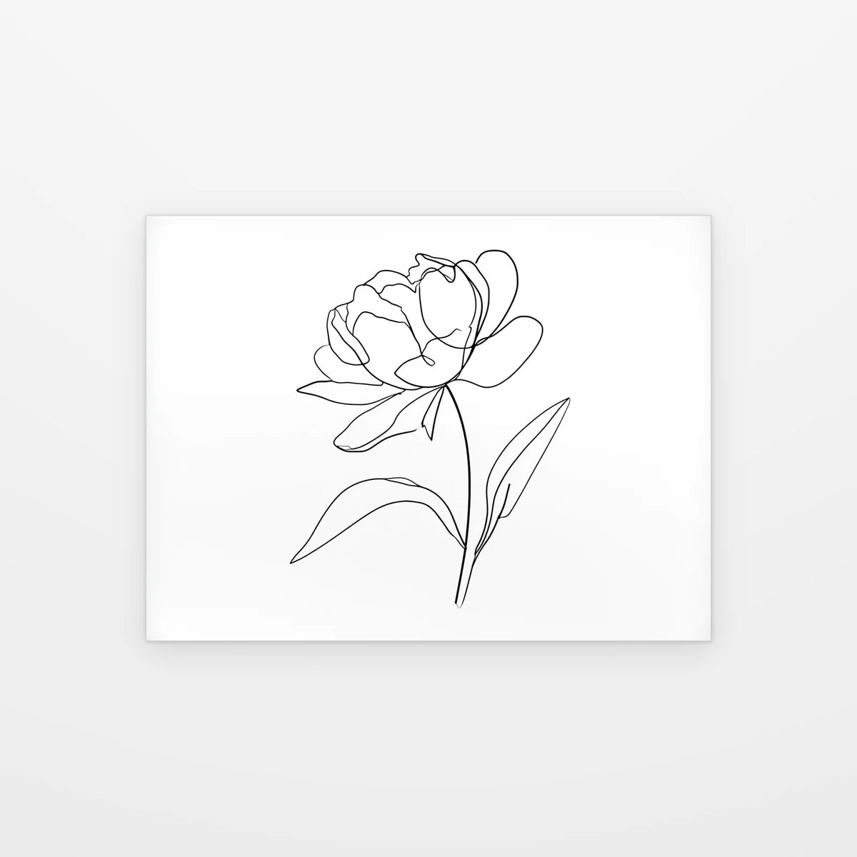 Visuel du tableau Pivoine au Trait noir et blanc présenté seul sur fond blanc, aperçu de l’œuvre imprimée