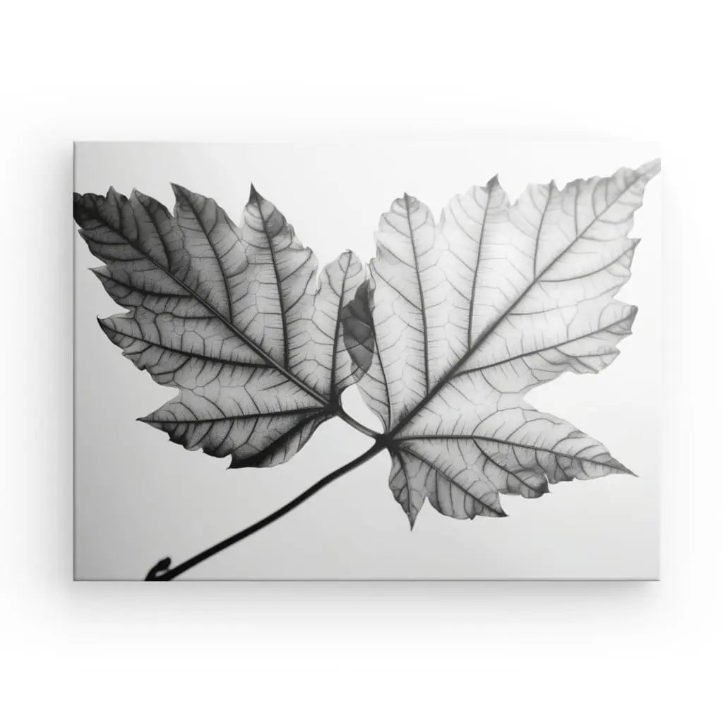 Tableau Feuille Arbre Végétaux Nature Noir et Blanc - #tag1# - #tag2#