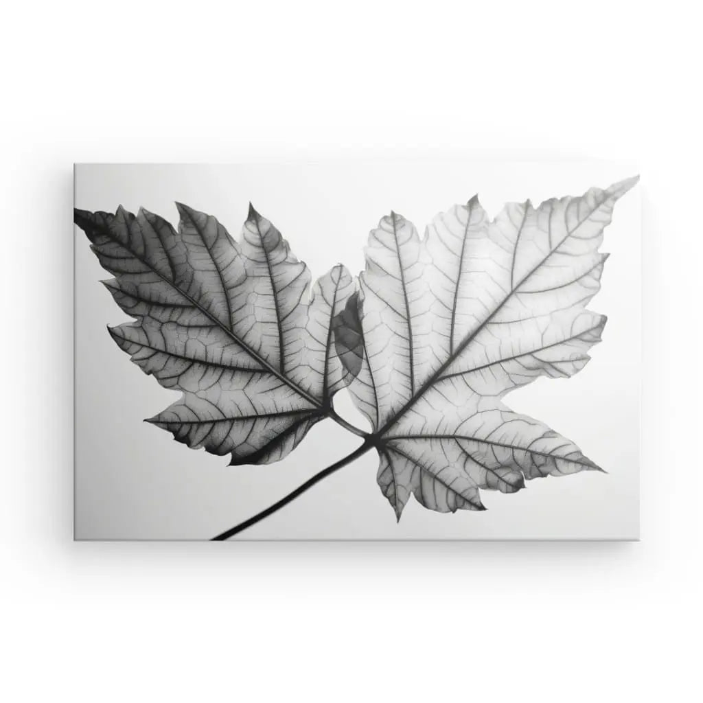 Tableau Feuille Arbre Végétaux Nature Noir et Blanc - #tag1# - #tag2#