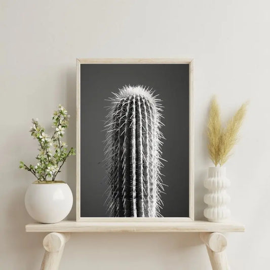 Tableau Cactus Gros Plan Minimaliste Monochrome 1