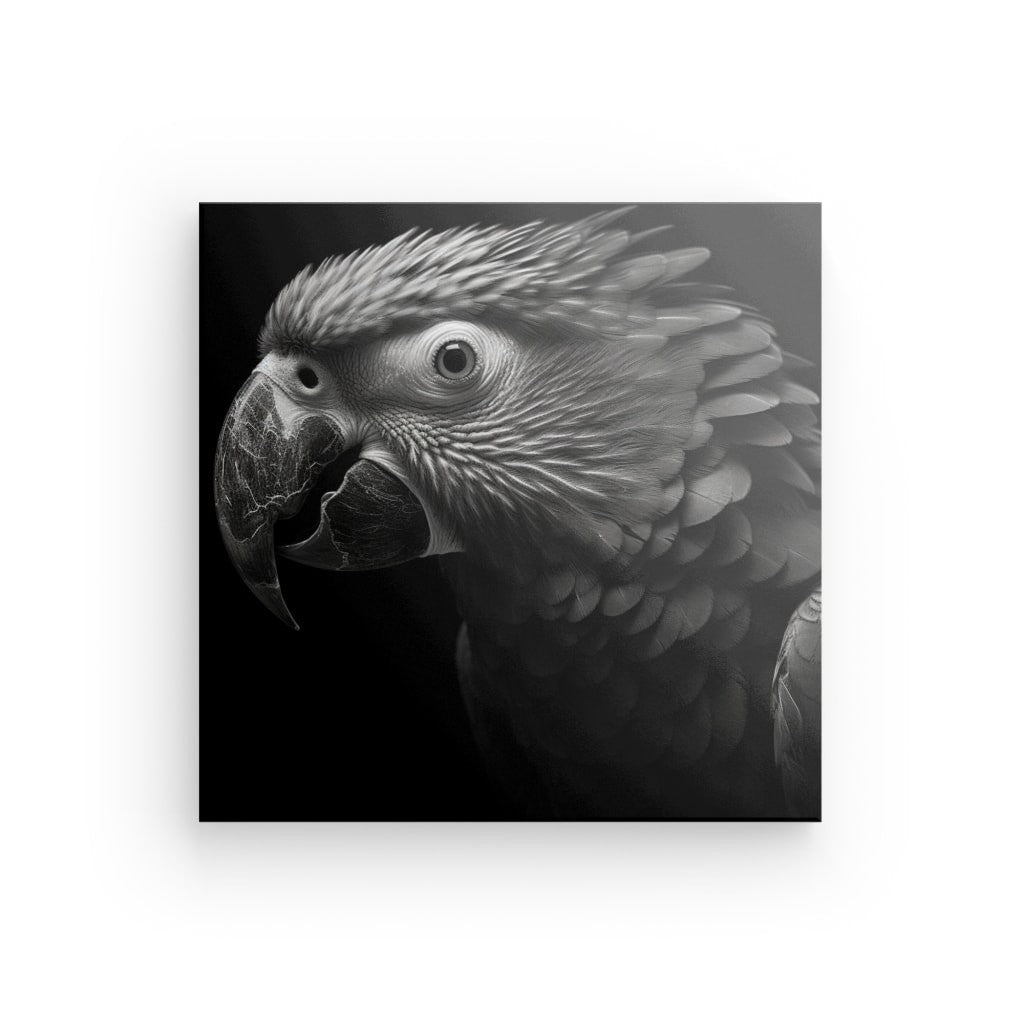 Image en noir et blanc d'un perroquet avec des plumes détaillées et une expression concentrée, positionné sur un fond sombre, rappelant un élégant Tableau Perroquet Noir et Blanc Ara Portrait Oiseau Parot.