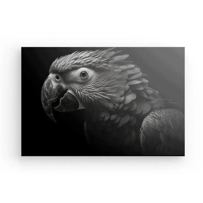 Tableau Perroquet Noir et Blanc Ara Portrait Oiseau Parot - #tag1# - #tag2# 