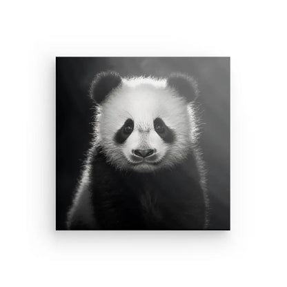 Photo en noir et blanc d'un ourson panda tourné vers l'avant, avec de la lumière provenant du coin supérieur droit : un superbe Tableau Panda Portrait Jungle Animal Noir et Blanc.