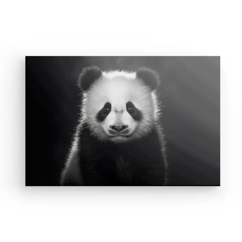 Une image Tableau Panda Portrait Jungle Animal Noir et Blanc d'un panda tourné vers l'avant, avec un fond uni.