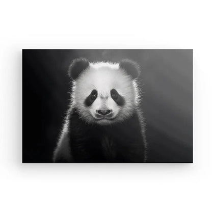 Une image Tableau Panda Portrait Jungle Animal Noir et Blanc d'un panda tourné vers l'avant, avec un fond uni.