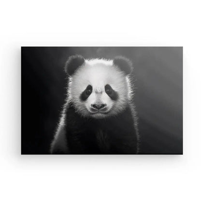 Tableau Panda Portrait Jungle Animal Noir et Blanc - #tag1# - #tag2# 