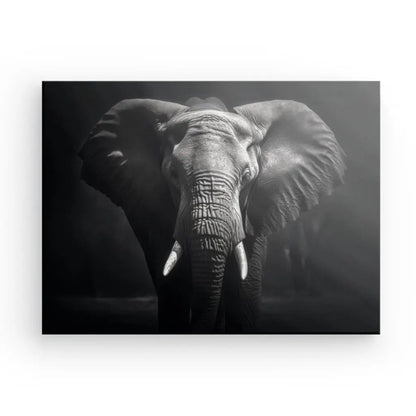 Tableau Elephant Savane Portrait Noir et Blanc Sauvage - #tag1# - #tag2# 