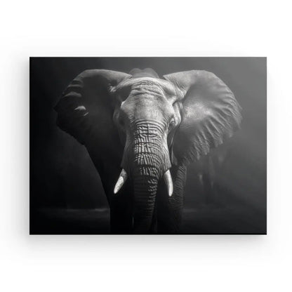 Tableau Elephant Savane Portrait Noir et Blanc Sauvage - #tag1# - #tag2# 