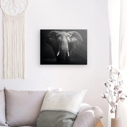 Tableau Elephant Savane Portrait Noir et Blanc Sauvage - #tag1# - #tag2# 