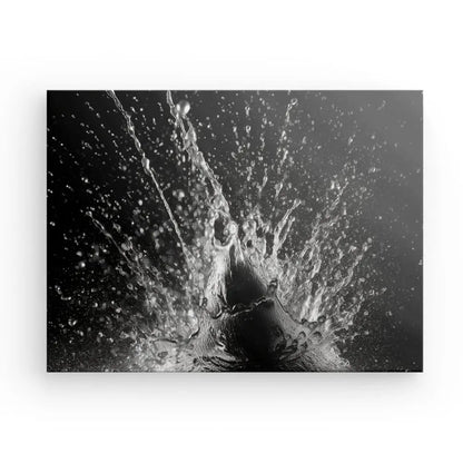 Tableau Goutte D'Eau Eclaboussure Design Moderne Noir et Blanc - #tag1# - #tag2# 