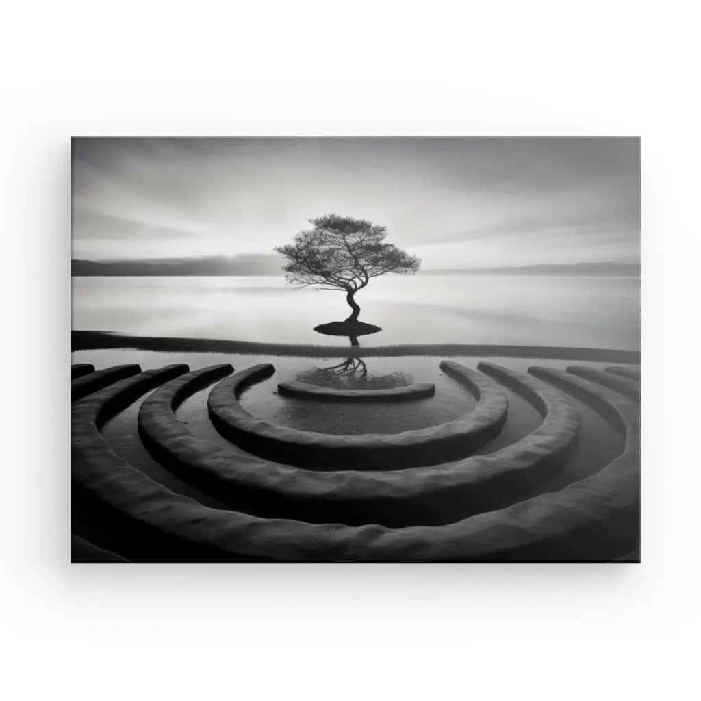 Photo en noir et blanc d'un arbre solitaire sur une île, entouré de motifs circulaires concentriques au premier plan, avec un plan d'eau calme en arrière-plan : un véritable Tableau Paysage Zen Arbre Calme Photo Noir et Blanc.