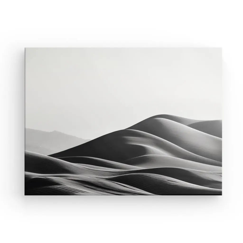 Tableau Photographique Dunes de Sable Noir et Blanc