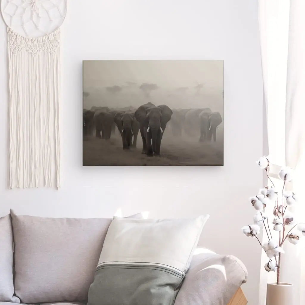 Un salon comprend un canapé avec des coussins gris clair, une tenture murale et une photo encadrée du Tableau Troupeau Famille Elephants Savane Noir et Blanc marchant dans un paysage poussiéreux. Un décor végétal en acrylique se trouve dans le coin de la pièce, complétant l’esthétique globale.