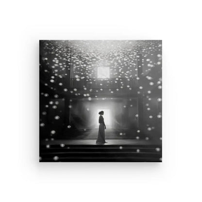 Tableau Danse Magique Femme Scène Lumineuse Flocons Noir et Blanc - #tag1# - #tag2# 