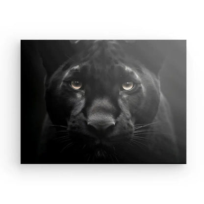 Tableau Panthère Noire Regard Percant Portrait Animal Sauvage Noir et Blanc - #tag1# - #tag2# 