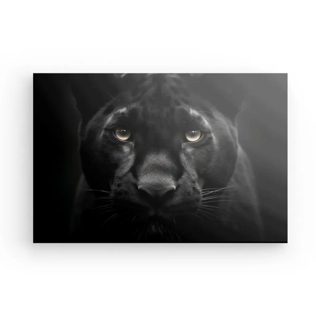 Tableau Panthère Noire Regard Percant Portrait Animal Sauvage Noir et Blanc - #tag1# - #tag2# 