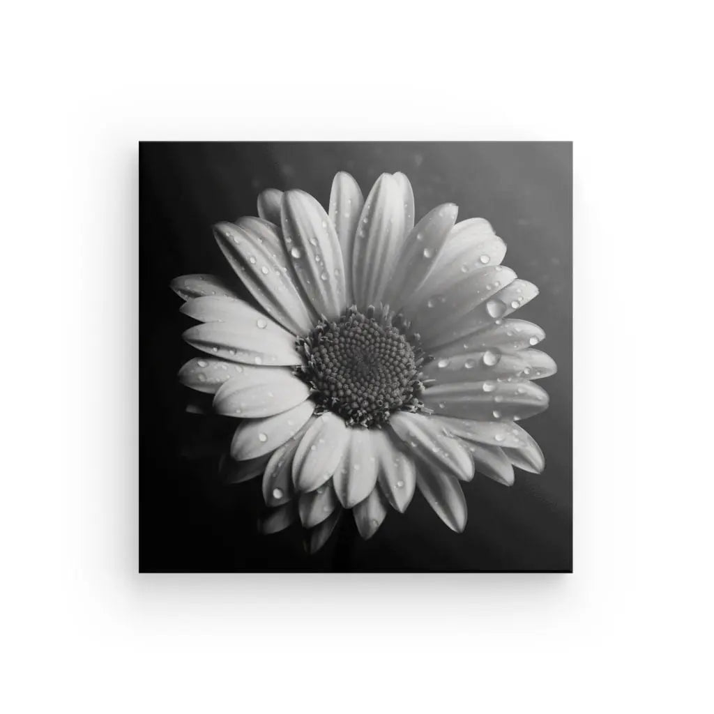 Tableau Marguerite Fleur Gros Plan Noir et Blanc - #tag1# - #tag2# 