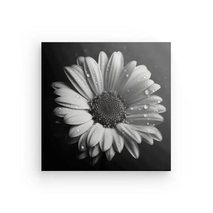 Tableau Marguerite Fleur Gros Plan Noir et Blanc - #tag1# - #tag2# 