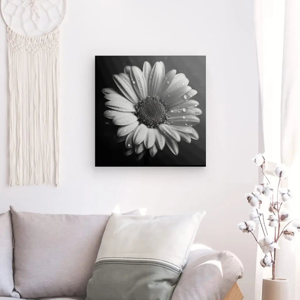 Tableau Marguerite Fleur Gros Plan Noir et Blanc - #tag1# - #tag2# 