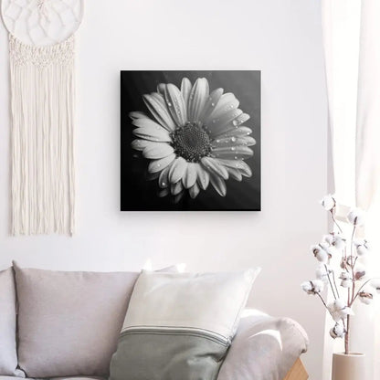 Tableau Marguerite Fleur Gros Plan Noir et Blanc - #tag1# - #tag2# 