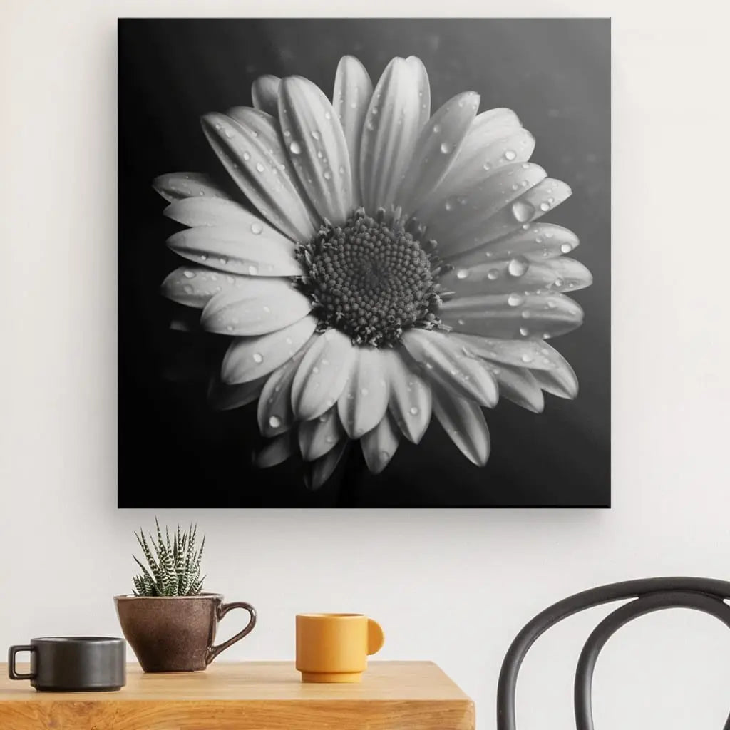 Tableau Marguerite Fleur Gros Plan Noir et Blanc - #tag1# - #tag2# 