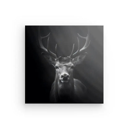 Tableau Portrait Cerf Animal Sauvage Cervidé Noir et Blanc - #tag1# - #tag2# 