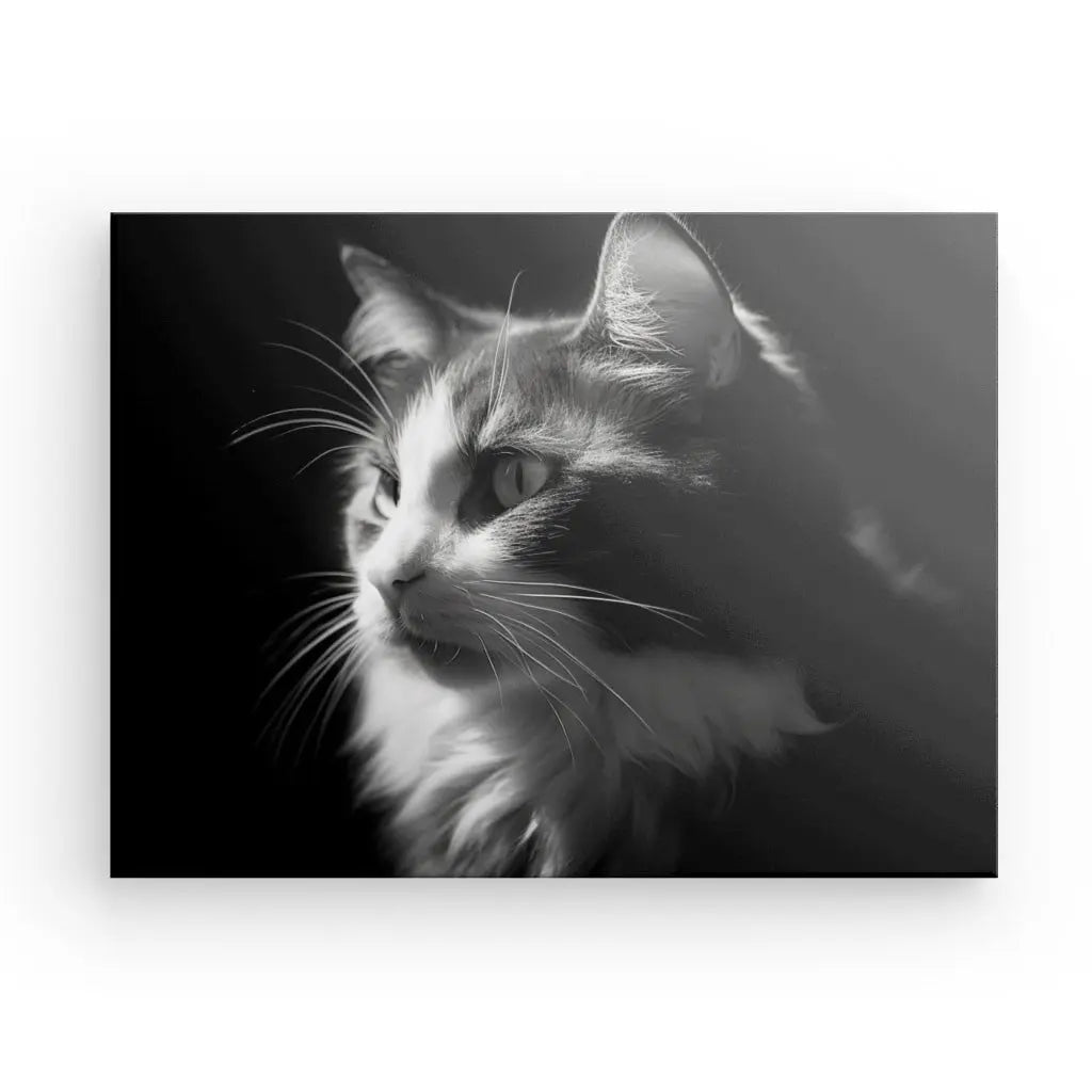 Tableau Chat Portrait Animal de Compagnie Noir et Blanc