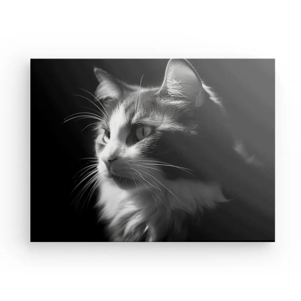 Une photographie en noir et blanc d'un chat aux cheveux longs en vue de profil, avec des moustaches et une fourrure détaillées illuminées sur un fond sombre, capture l'essence de l'élégance dans ce superbe Tableau Chat Portrait Animal de Compagnie Noir et Blanc.