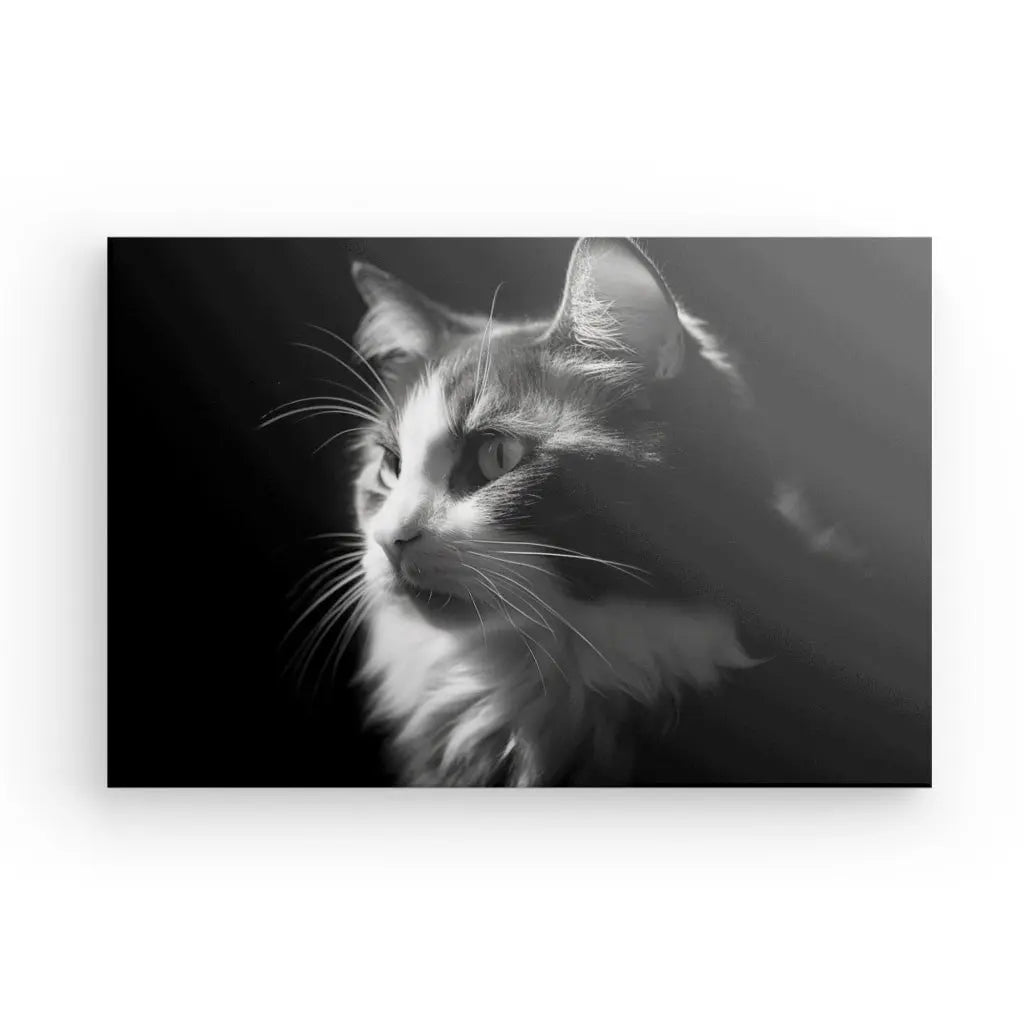 Tableau Chat Portrait Animal de Compagnie Noir et Blanc