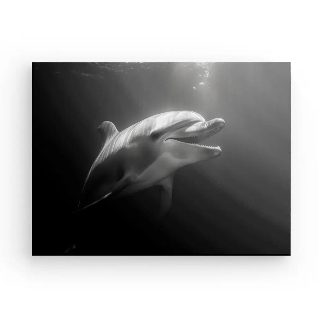 Tableau Dauphin Océan Portrait Noir et Blanc - #tag1# - #tag2# 